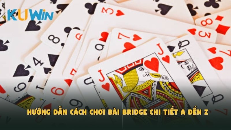 Hướng dẫn cách chơi bài Bridge chi tiết A đến Z
