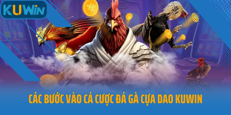 Các bước vào cá cược đá gà cựa dao Kuwin